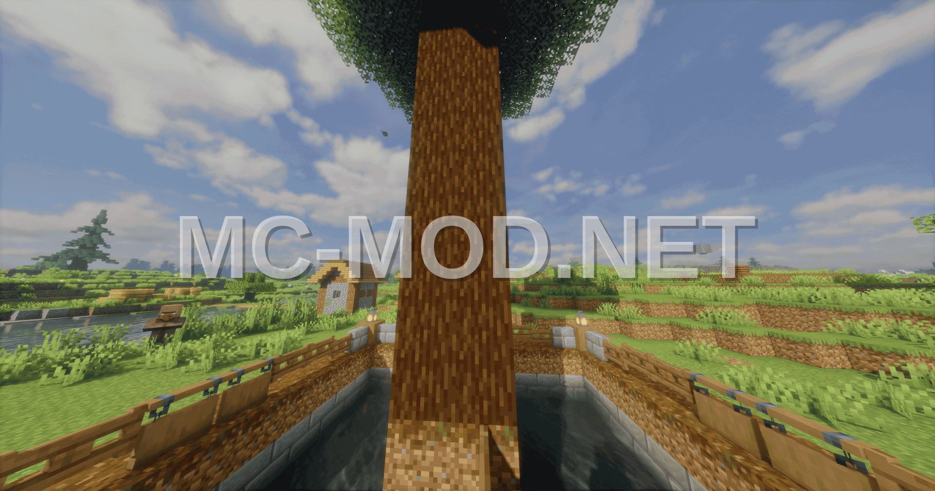 Sapling And Stick Collector