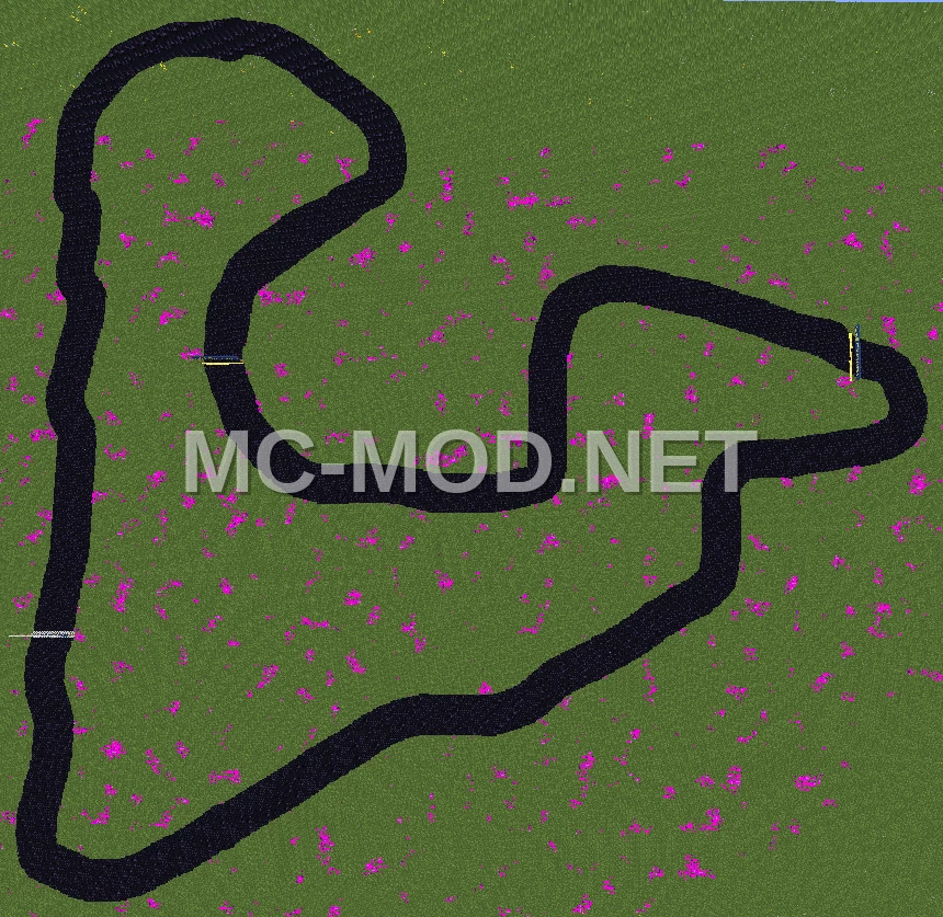 Sega Rally Forest 95 Racing Track