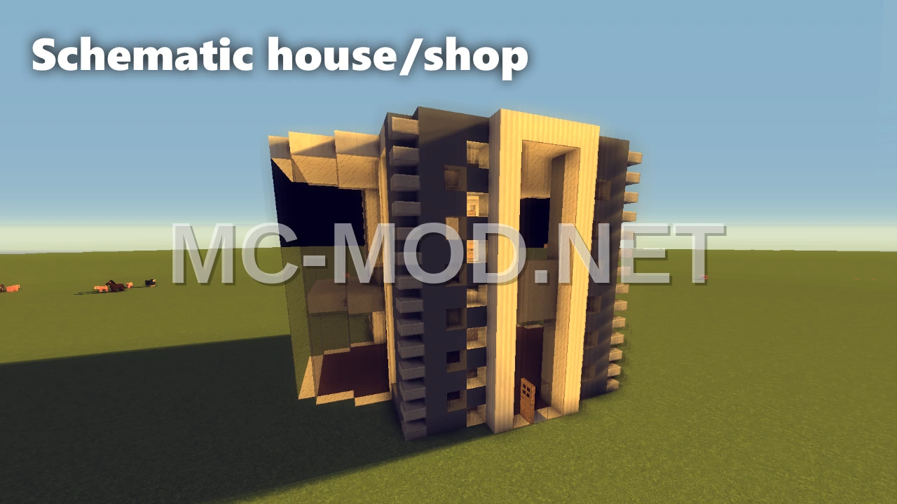 Shop House Building