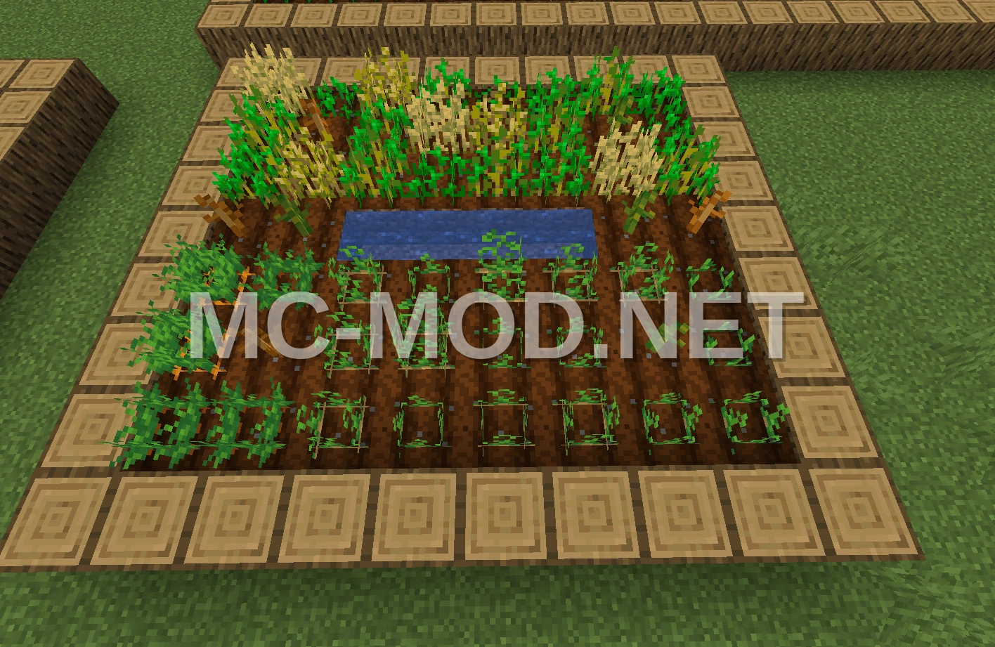 Simple 10×9 Field Build