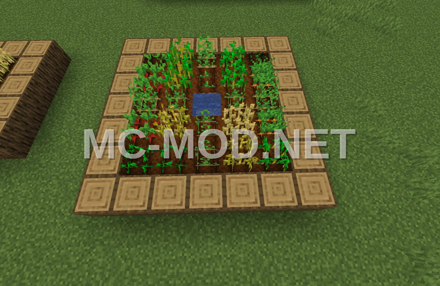 Simple 7×7 Field Structure