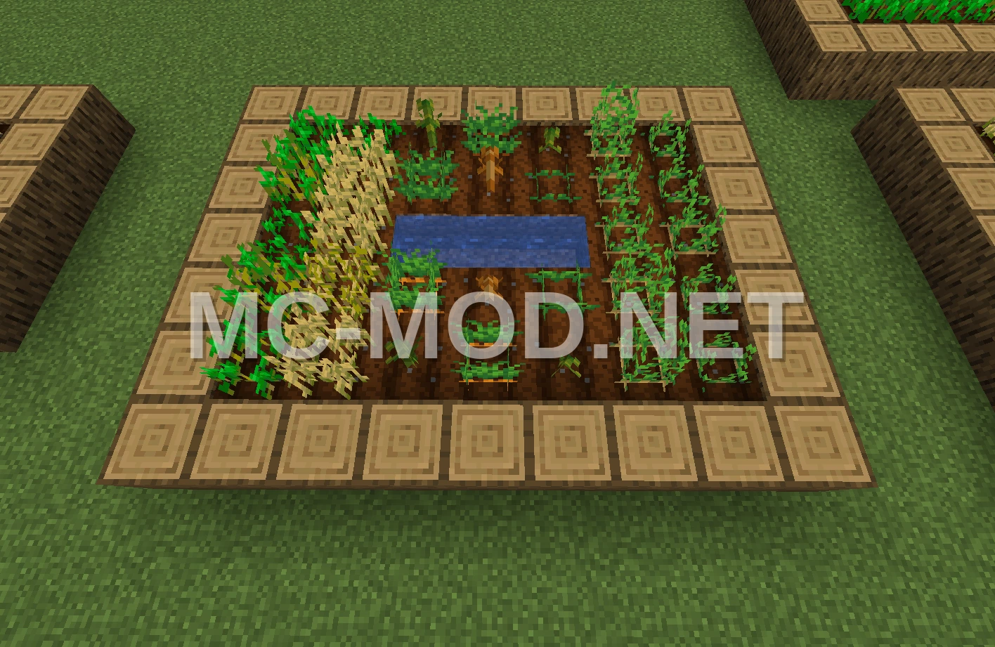 Simple 9×7 Farm Plot