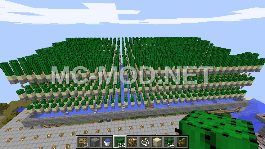 Simple Large Cactus Farm