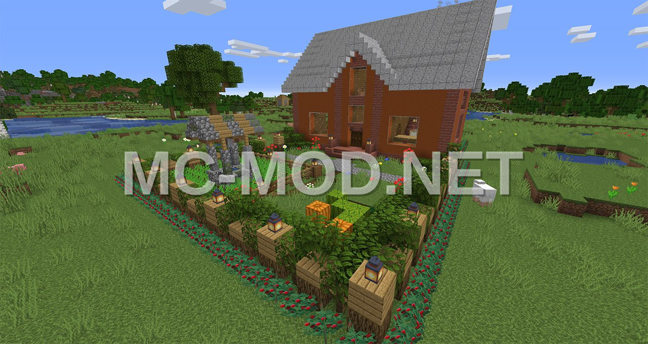 Cozy Medium House With Garden