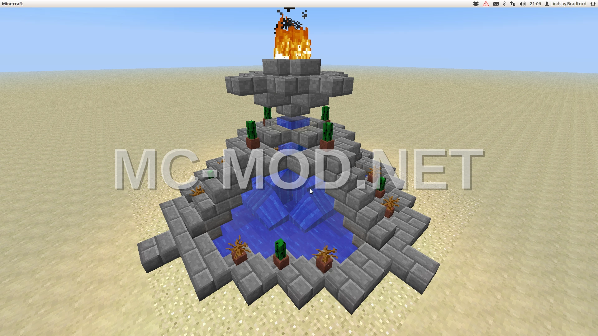Small Desert Cactus Fountain