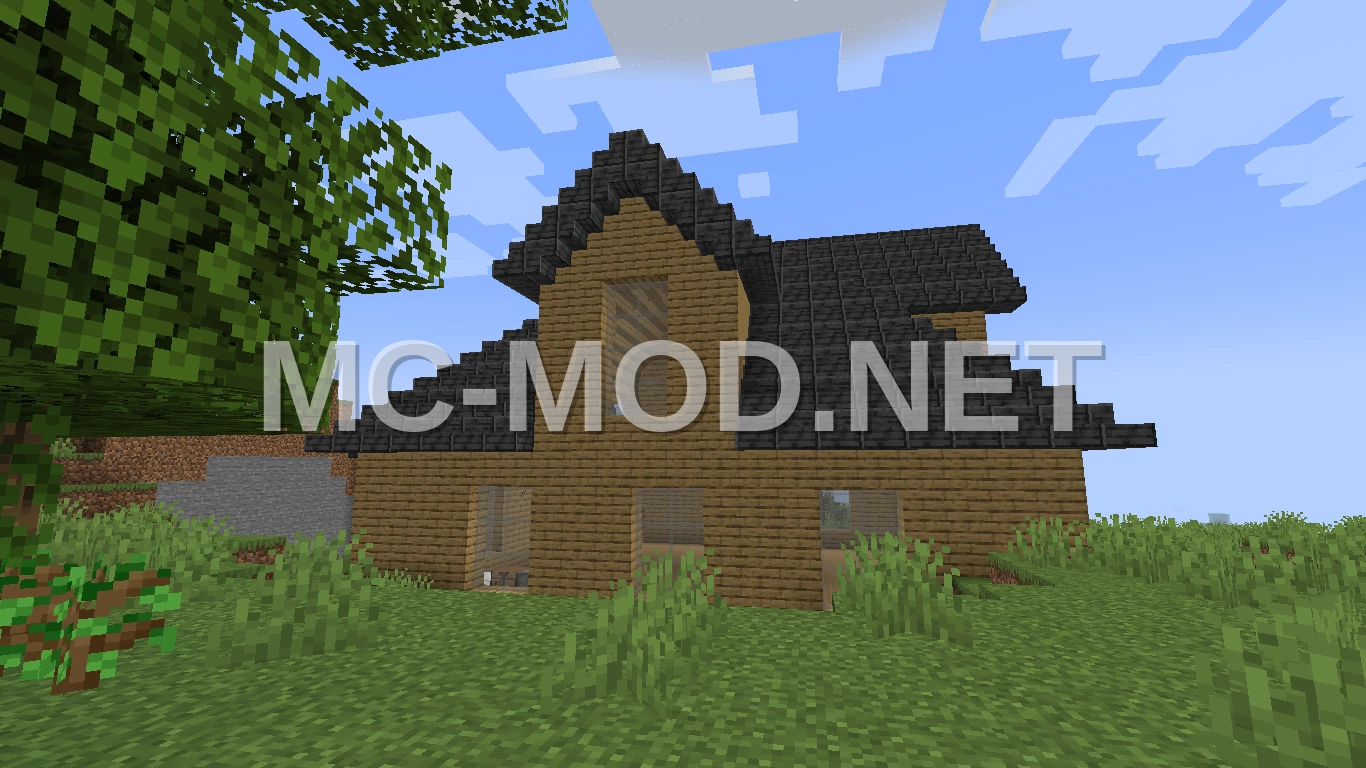 Small House With Attic