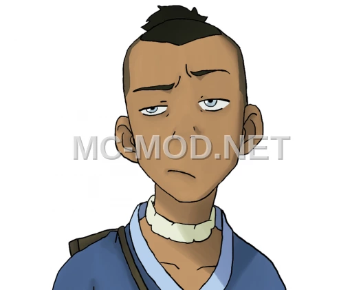 Sokka Avatar The Last Airbender Character