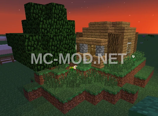 Starter Forest Home Small House
