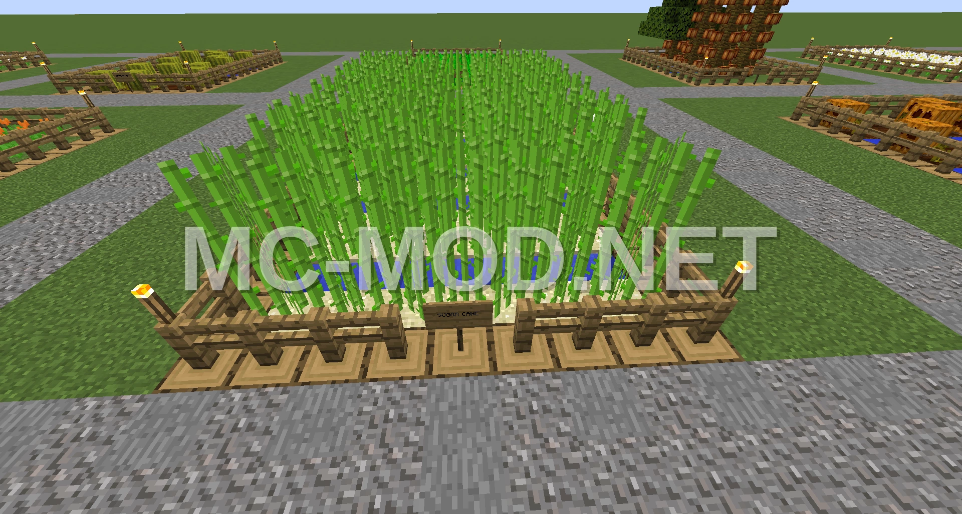 Compact Sugar Cane Farm – 425 Blocks