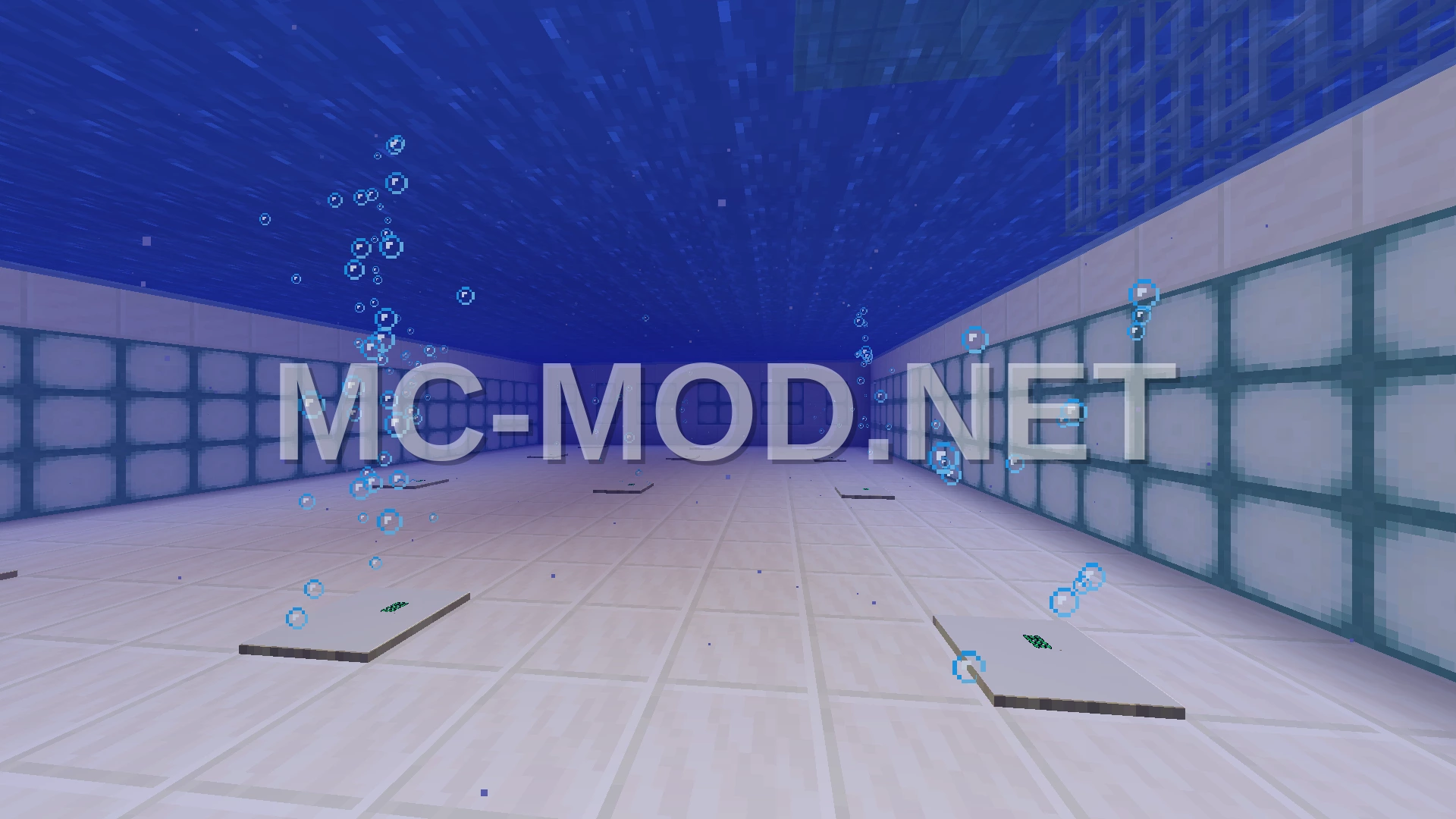 Giant Swimming Pool With Jumpboards