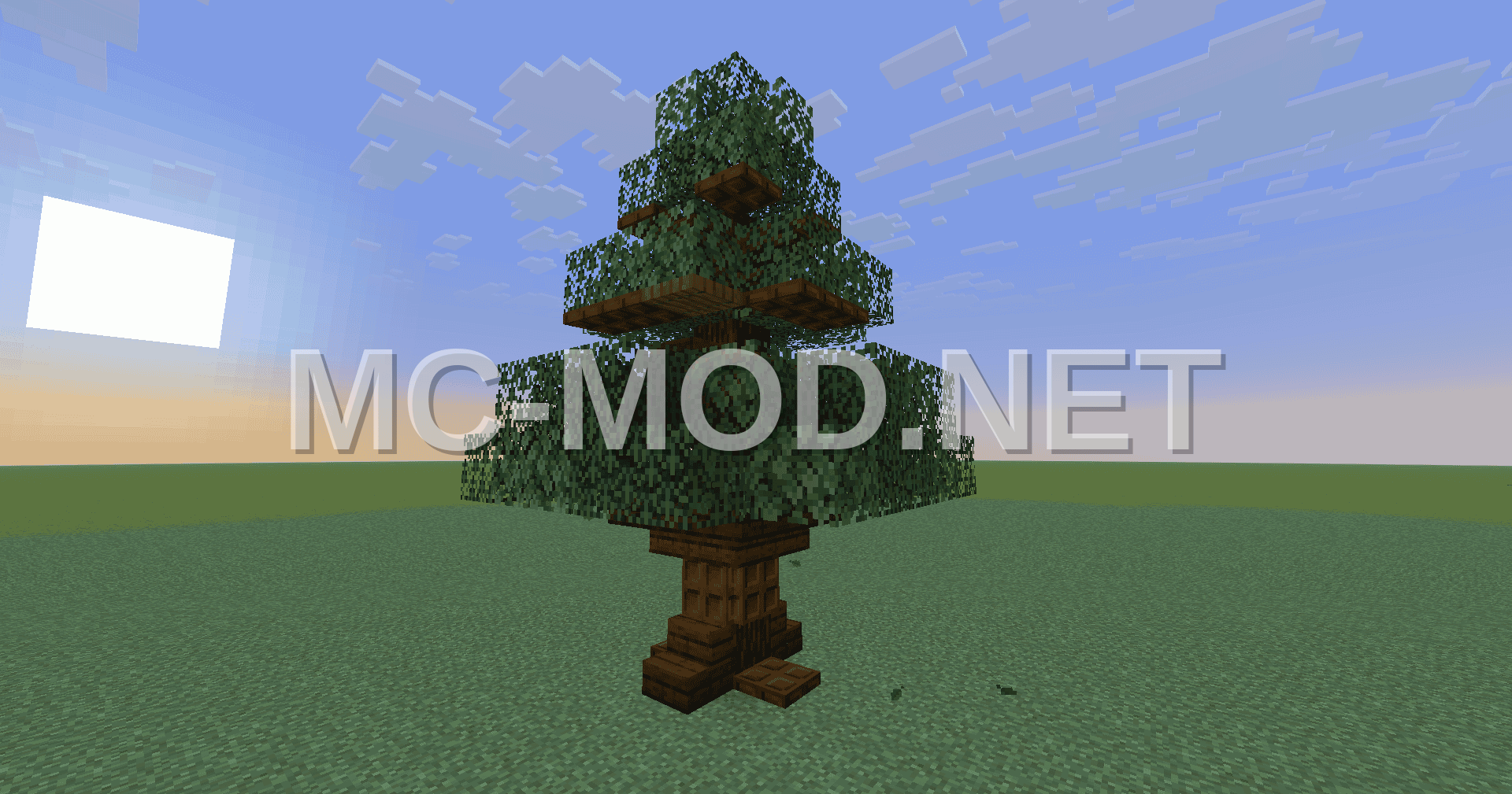 Taiga Forest Tree