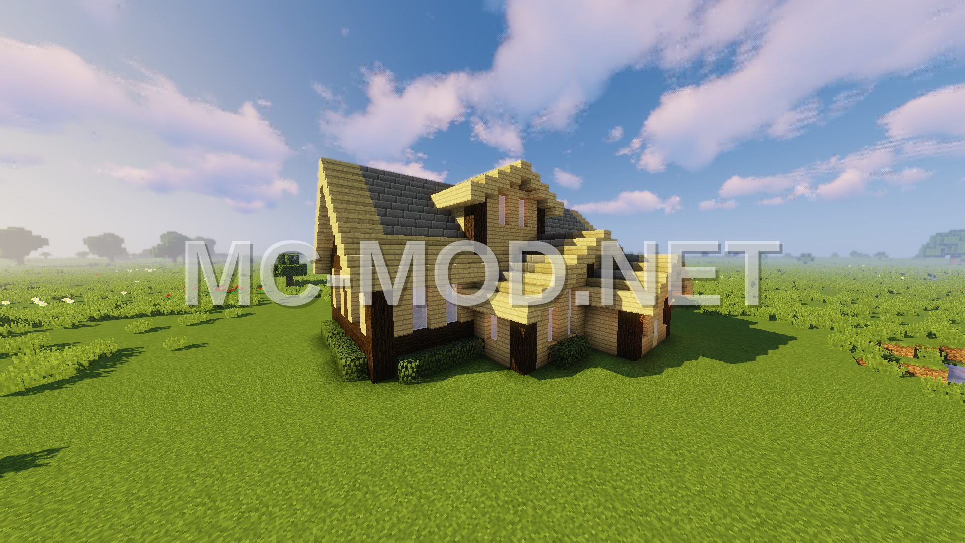 Traditional Birch House Design