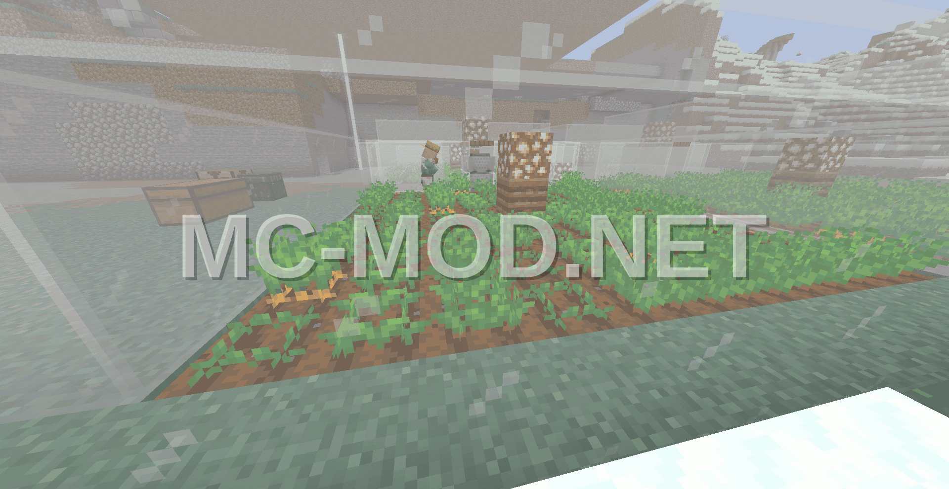 Villager Food Farm