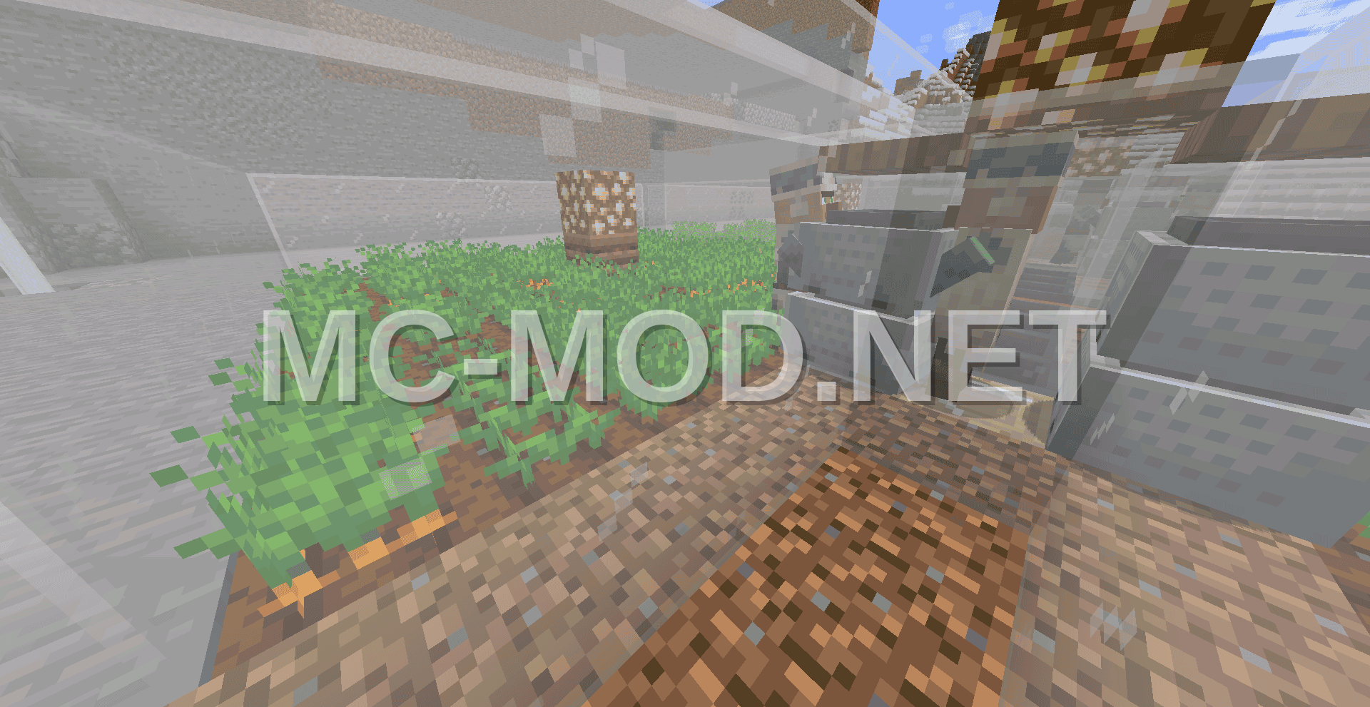 Villager Food Farm