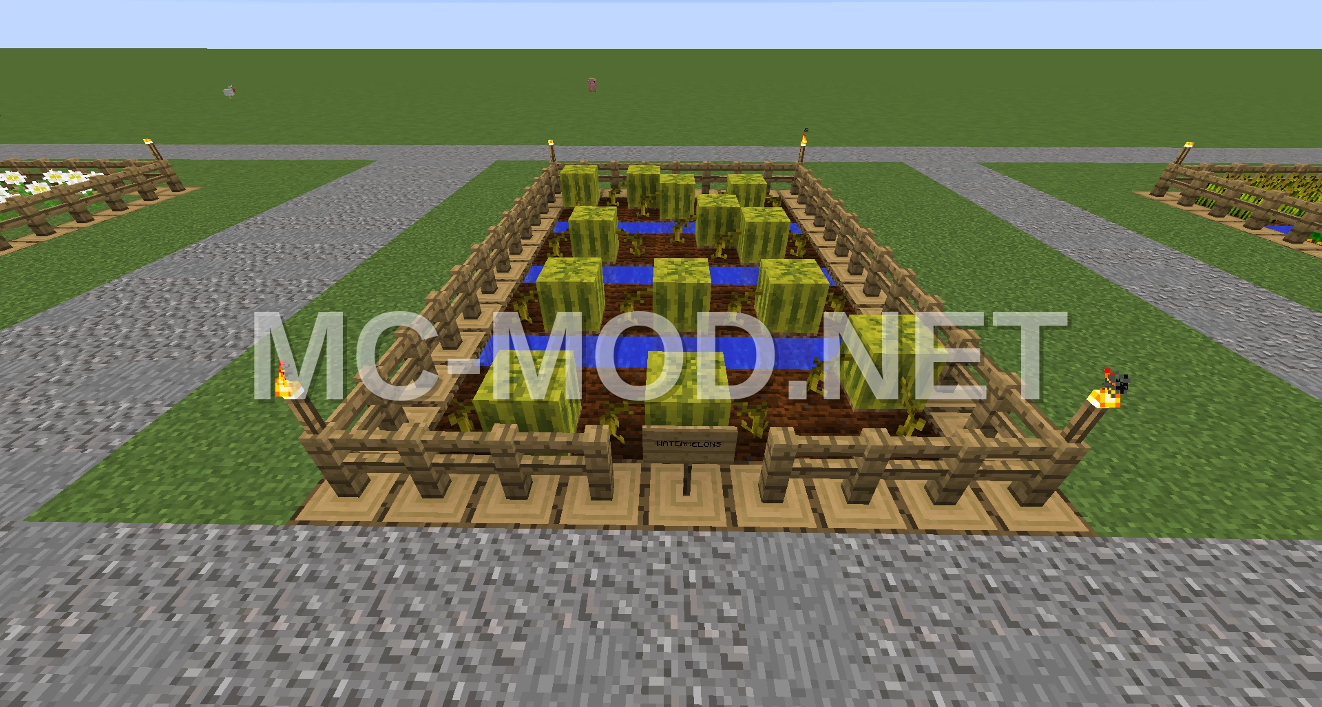 Watermelon Farm Structure