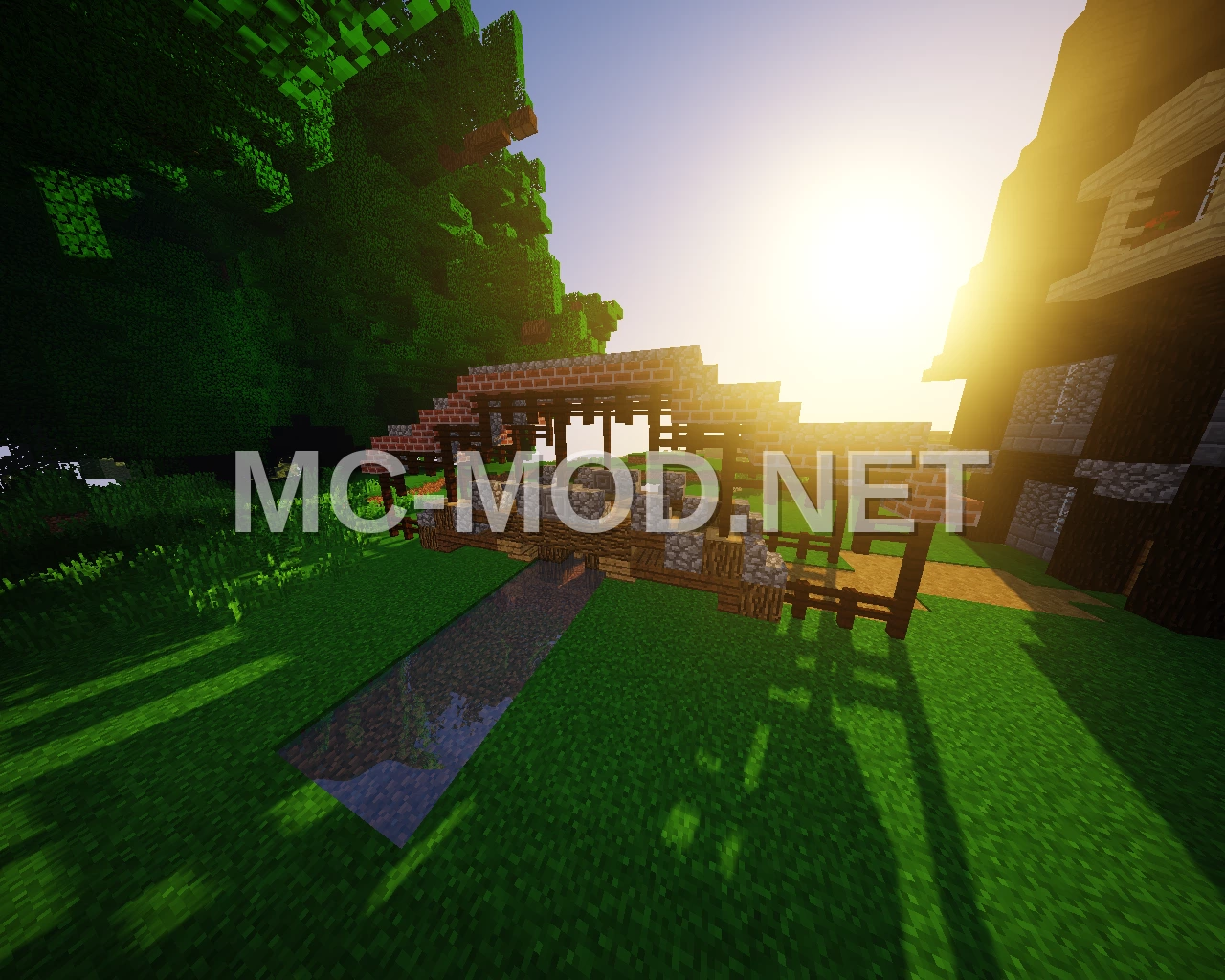 Wooden Bridge with Fences