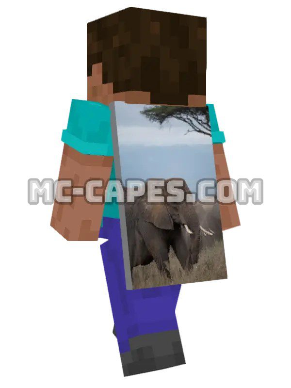 African Elephants