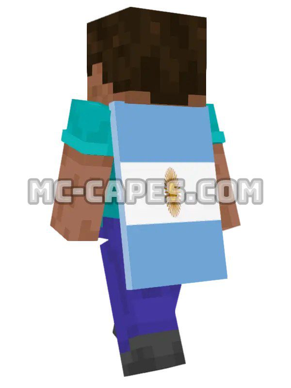 Argentina Flag