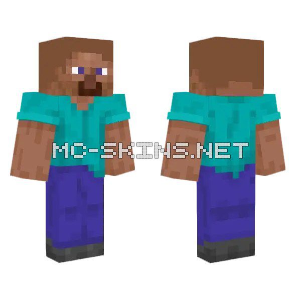 Bald Steve