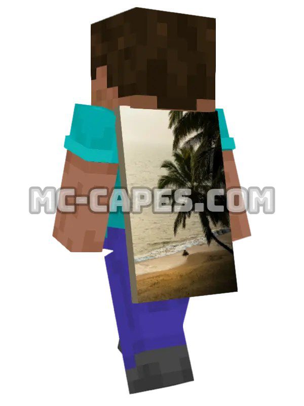 Beach Palm Tree