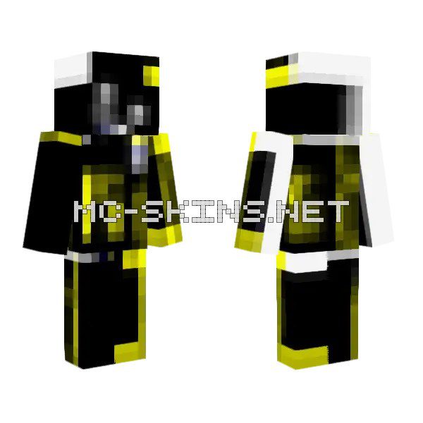 Black and Yellow Bee