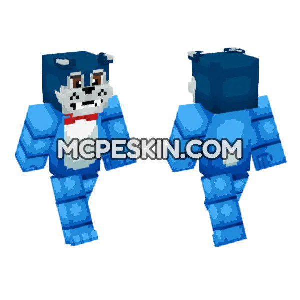 Blue Cat Outfit