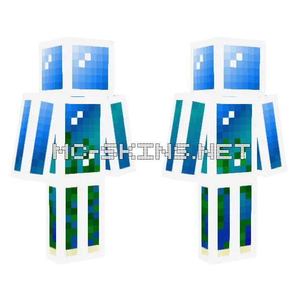 Blue Aquarium Outfit