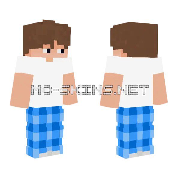 Blue Plaid Shirt