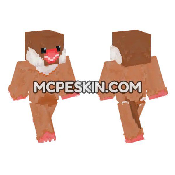 Brown Bunny Furry