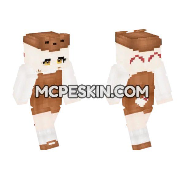 Brown Doggy Outfit