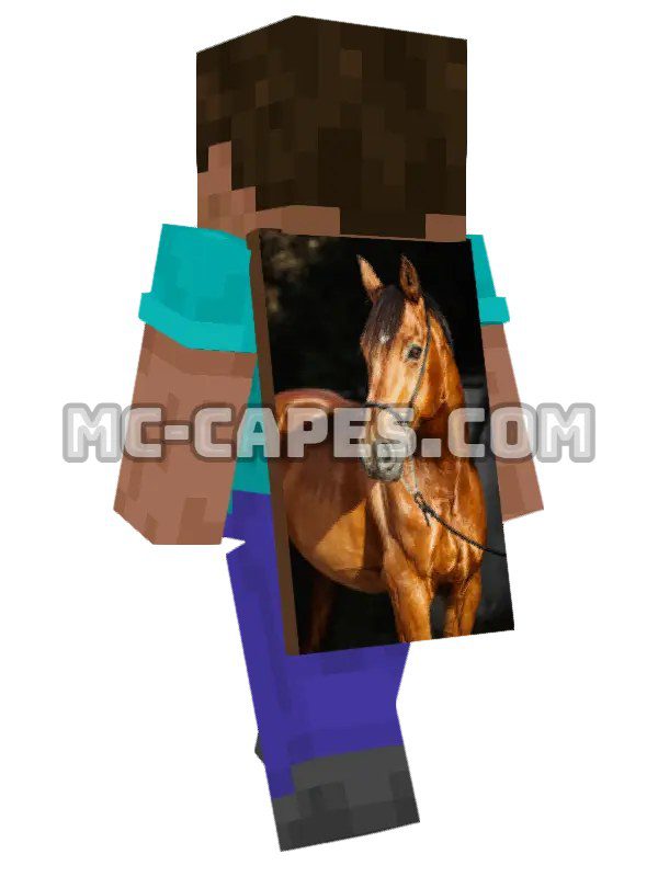 Brown Horse Halter