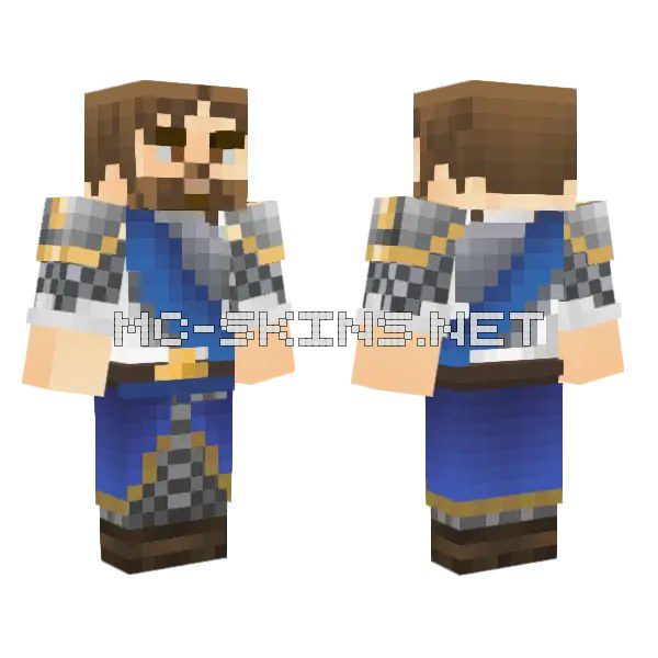 Brown Knight Armor