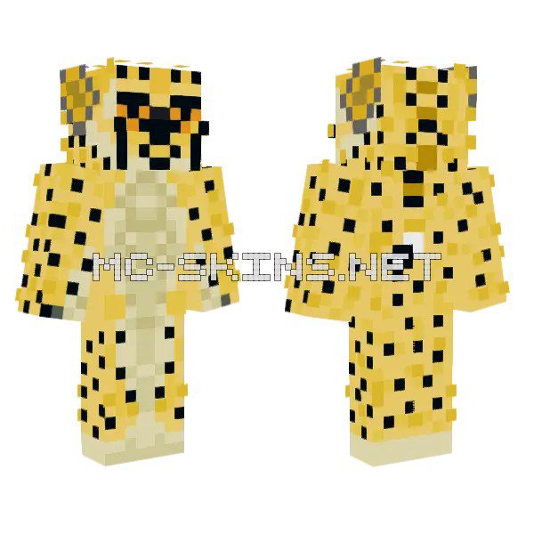 Cheetah Spots Outfit