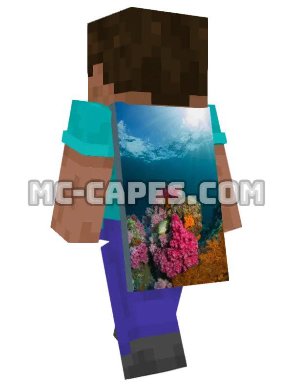 Coral Fish