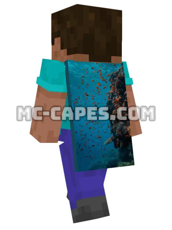 Coral Reef
