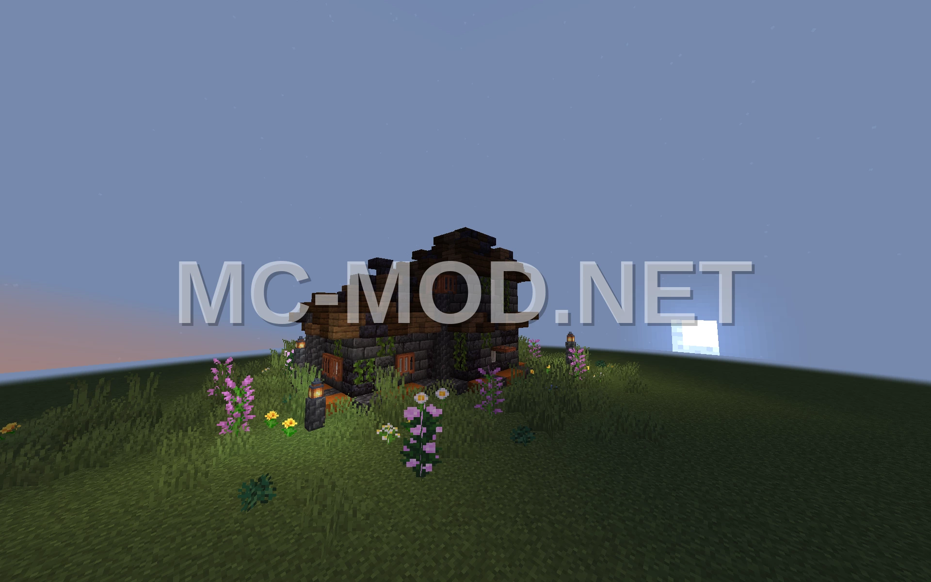 Dark House Design