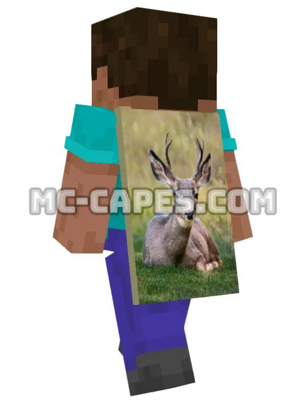 Deer Lying