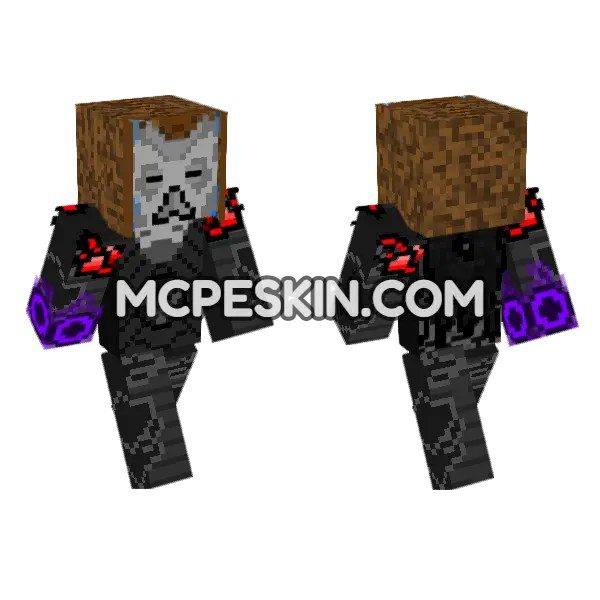 Dragon Priest Mask Armor