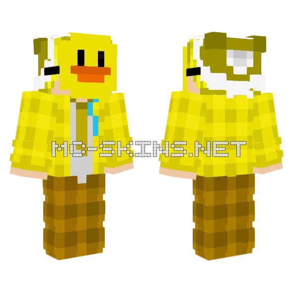 Duck Hat Boy