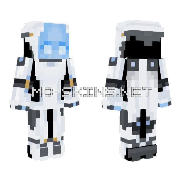 Echo Overwatch Mech