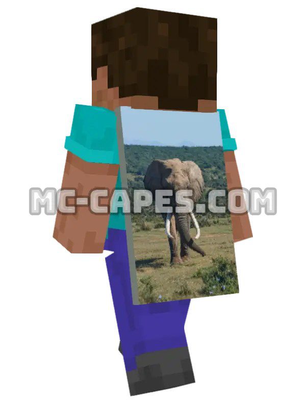 Elephant Grazing