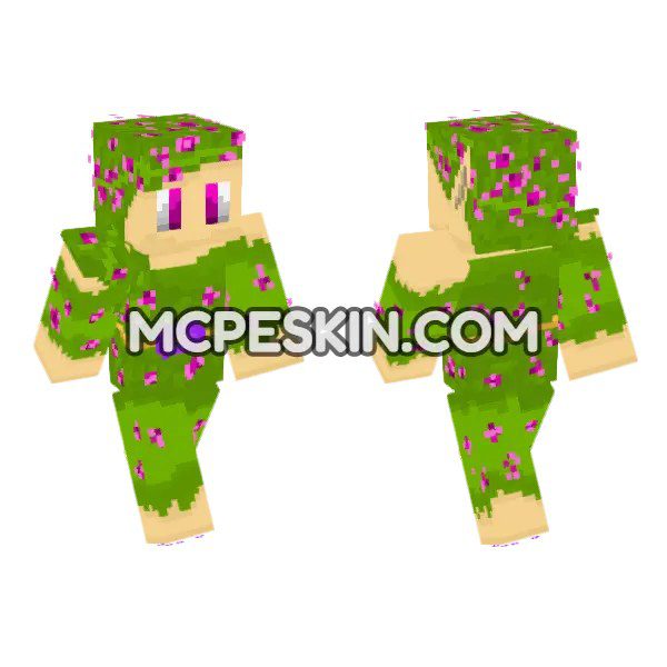 Fairy Meadow Outfit