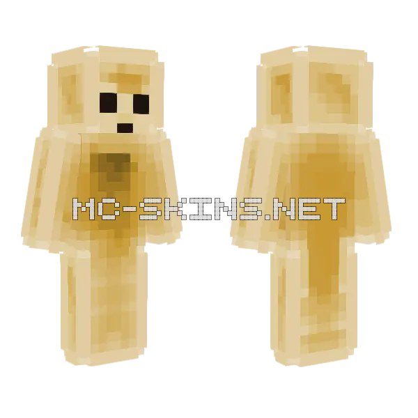 Golden Dog Companion