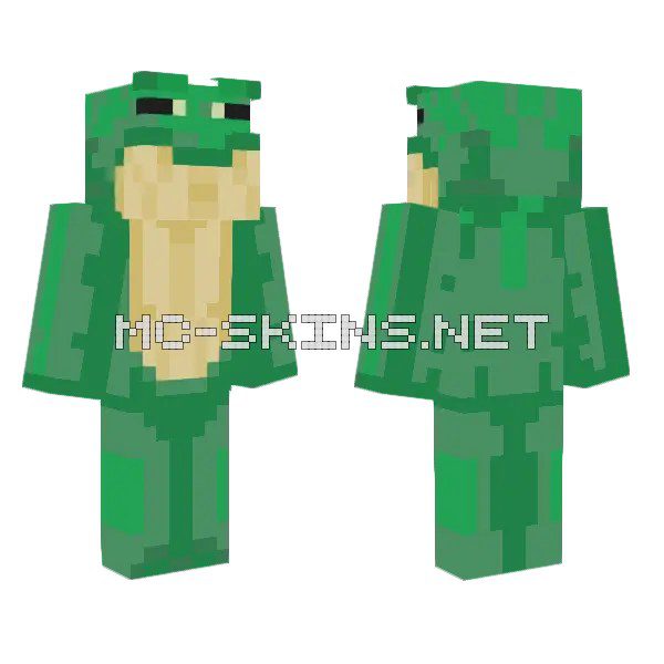 Green Froggy Buddy