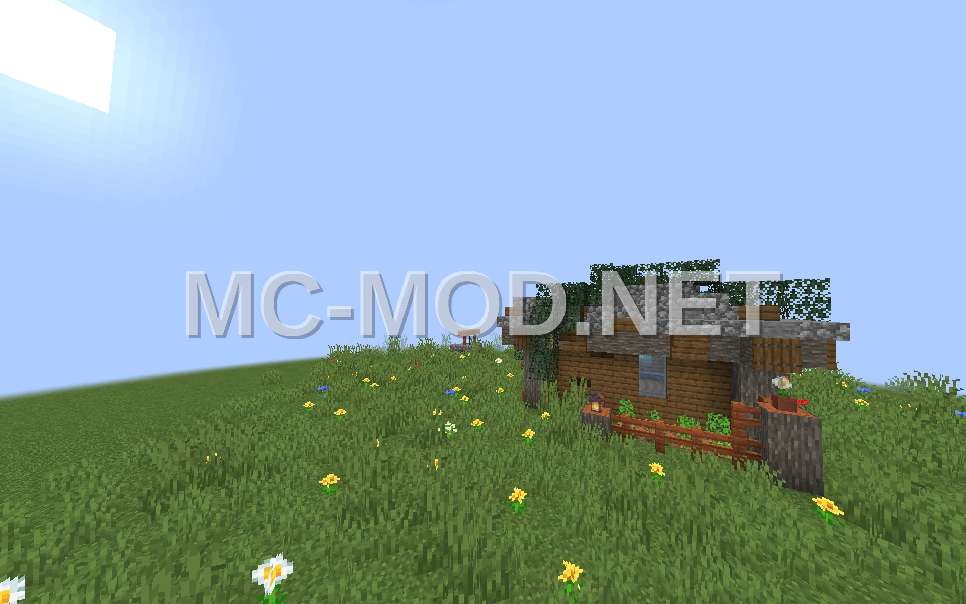 Small Spruce and Acacia House
