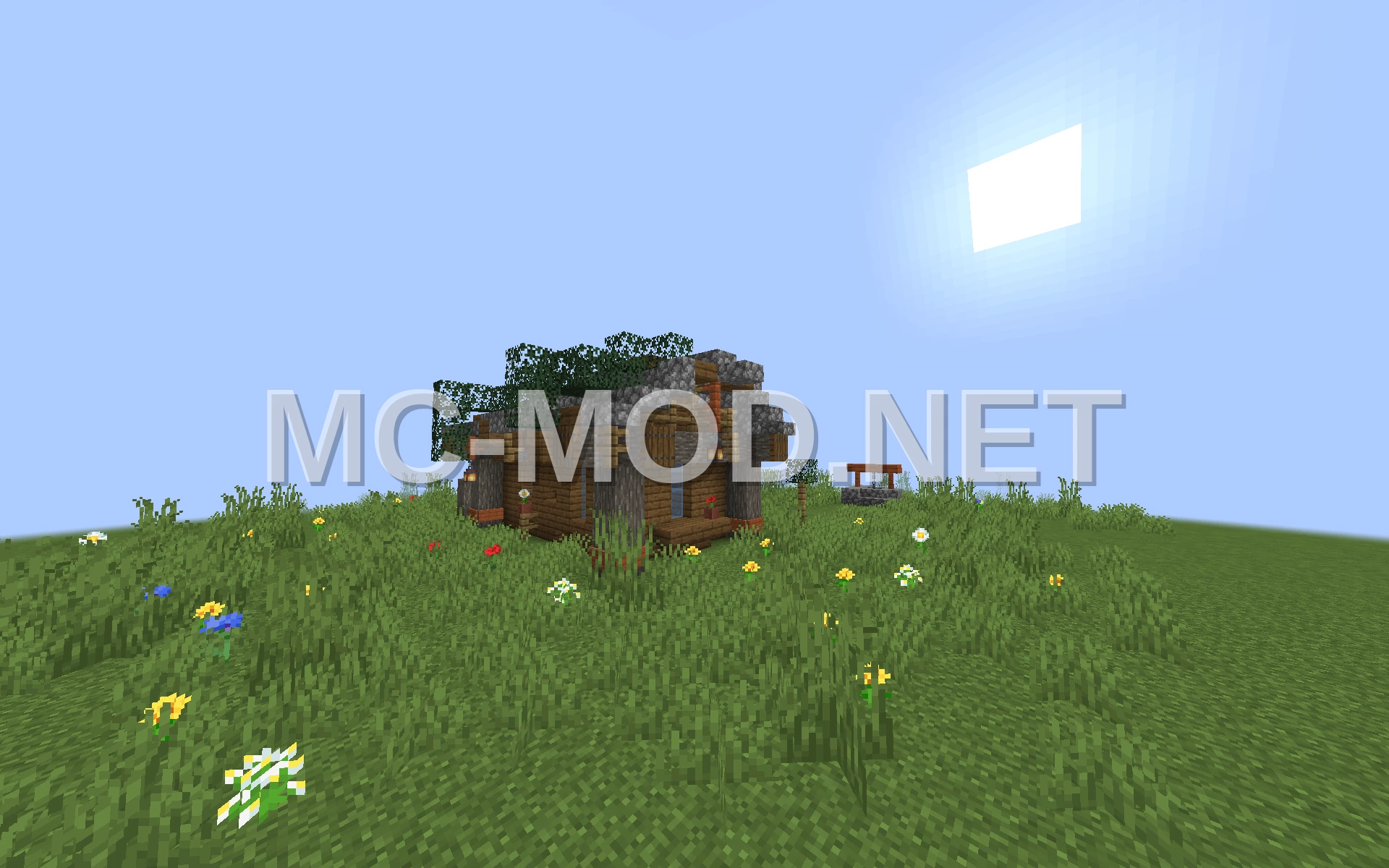 Small Spruce and Acacia House