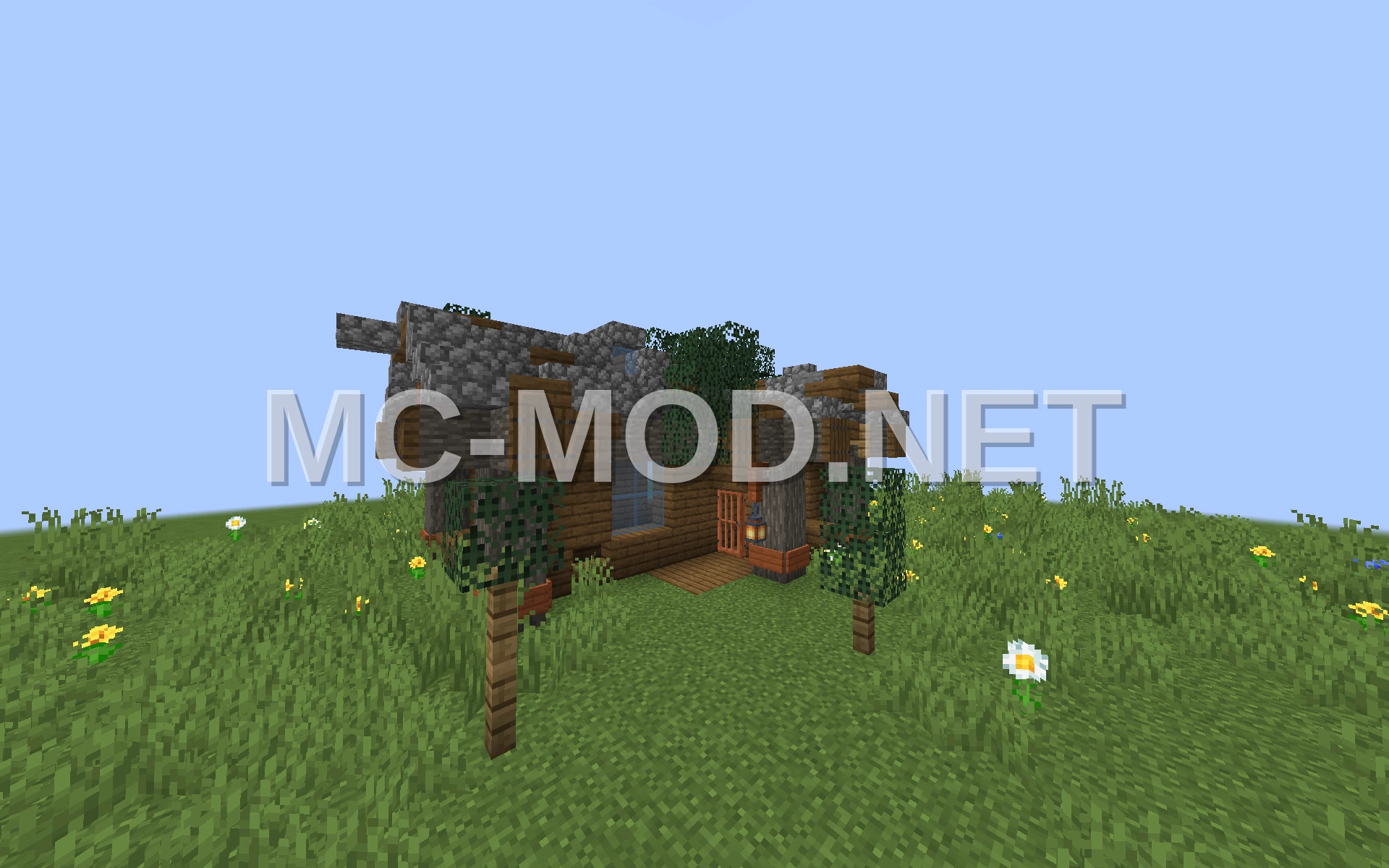 Small Spruce and Acacia House