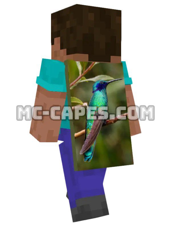 Hummingbird Branch