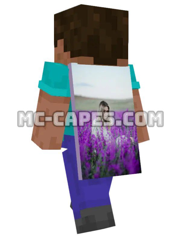Lavender Field