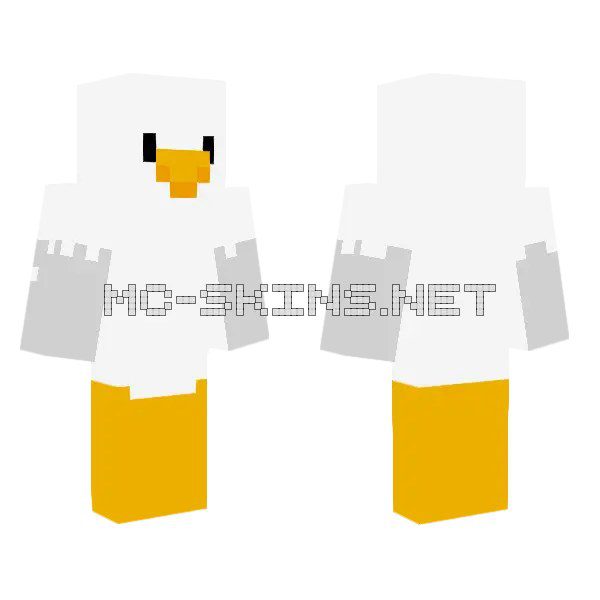Seagull Bird